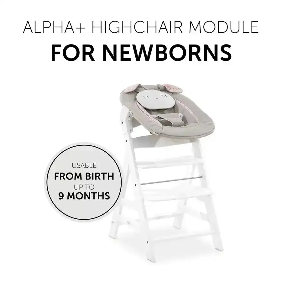 Hauck Bouncers Alpha Bouncer 2 In 1 (Beige Bloom)