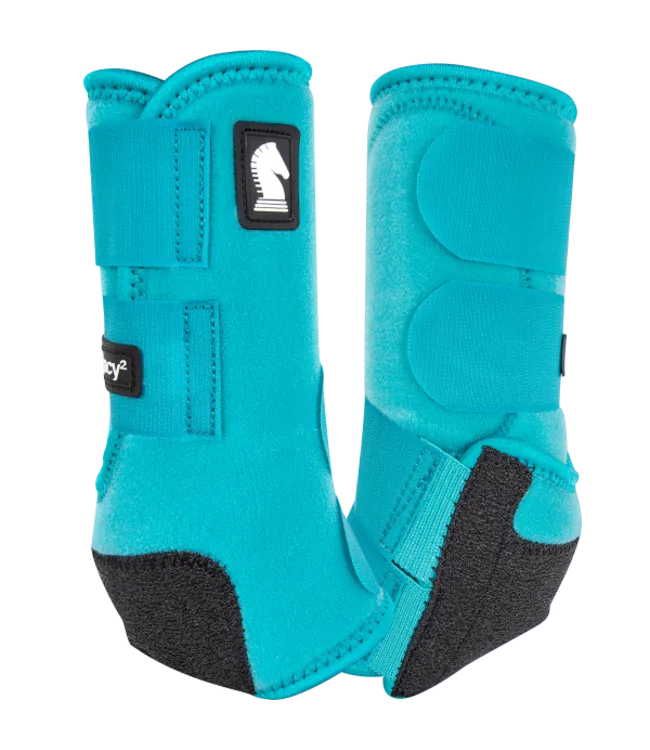 Legacy 2 Protective Boot Hind